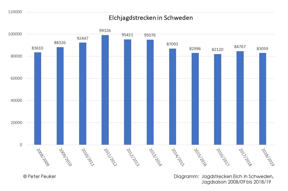 Entwicklung der Elchjagdstrecken in Schweden