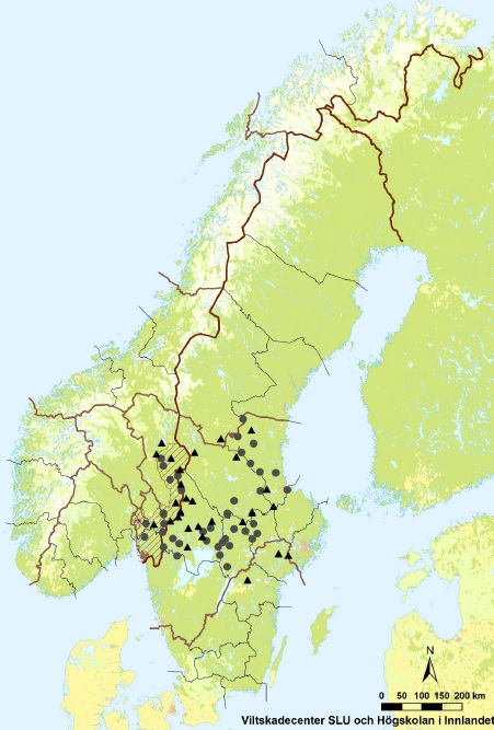 Wolfsterritorien_Population_Skandinavien